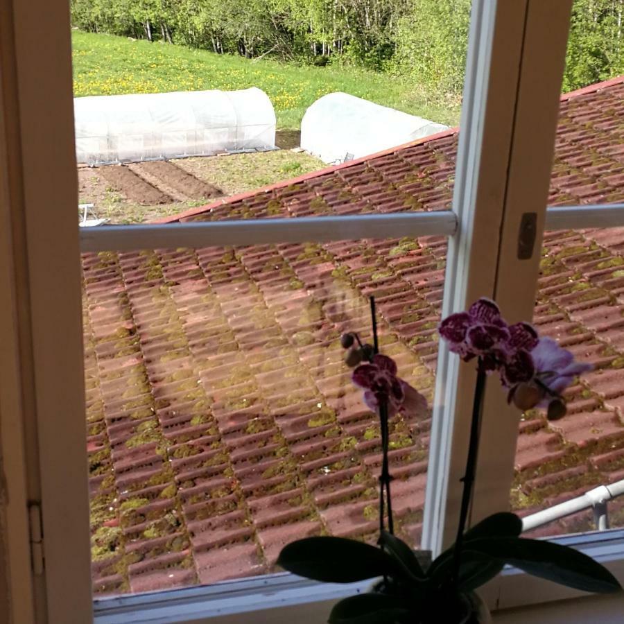 ليكساند Sjugare Gard Bed & Breakfast المظهر الخارجي الصورة